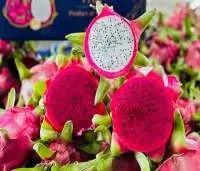 Dragon Fruit
