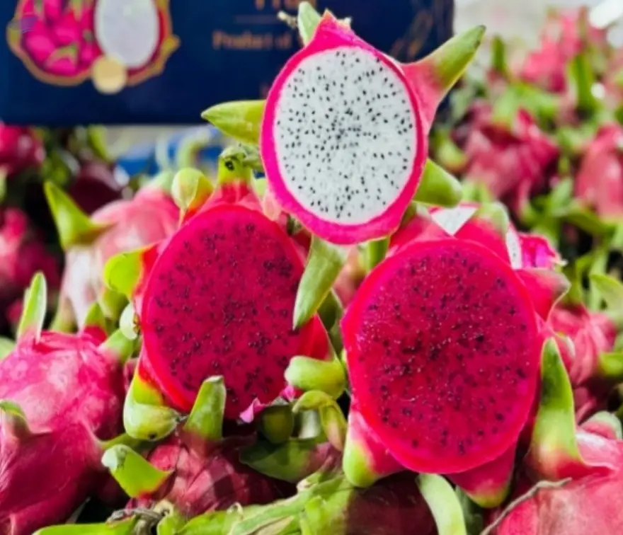Dragon Fruit