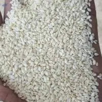 Sesame Seeds