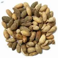 Organic Neem Seeds