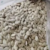 Pumpkin Seeds