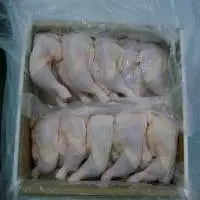 Frozen Chicken Legs