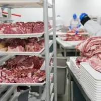 Frozen Meat