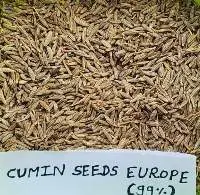 Cumin Seed