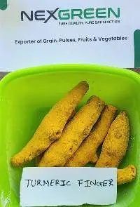 Turmeric Finger