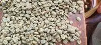 Coffee - Robusta
