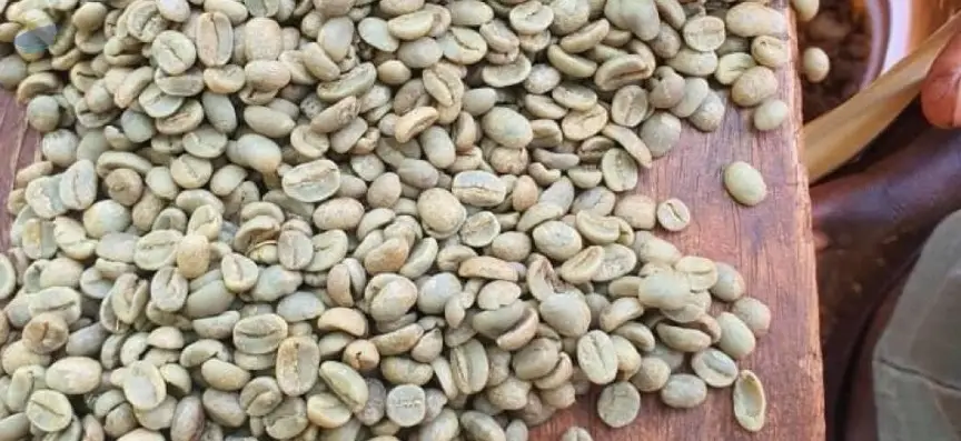 Coffee - Robusta