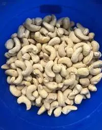 Cashew