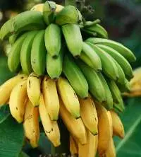 Banana
