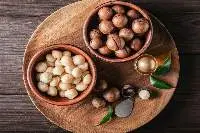 Macadamia