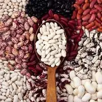 Beans