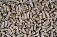 Sweet Beet Pulp Pellets