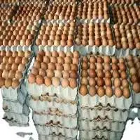 Fresh Chicken Eggs