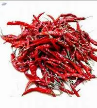 Teja Dry Red Chilli
