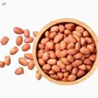 Groundnuts