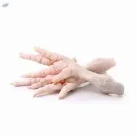 Frozen Chicken Feet / Paws