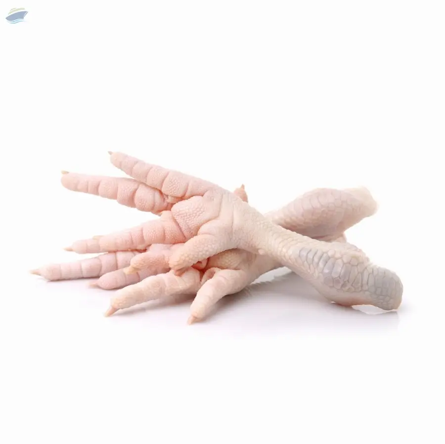 Frozen Chicken Feet / Paws