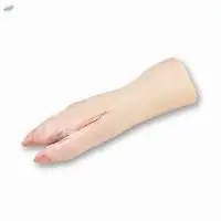 Frozen Pork Hind Feet Grade A