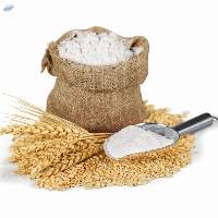 Wheat Flour In Bags  