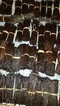 Vanilla Beans