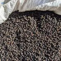Black Pepper