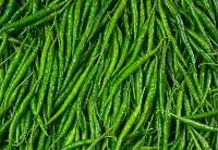 Green Chilli