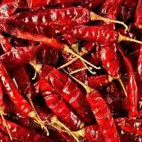 Red Desi Chilli