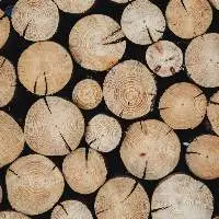Mahogany Wood