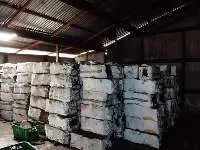Mangrove Hardwood Charcoal