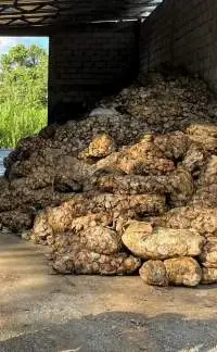 Natural Rubber