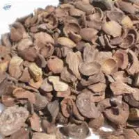 palm kernel shells
