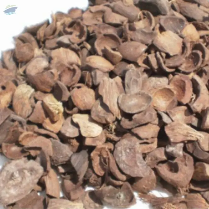 palm kernel shells