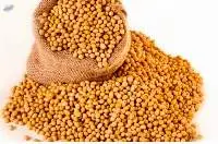 Soya beans