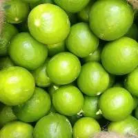 Fresh Lemon