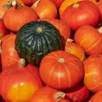 Fresh Pumpkin