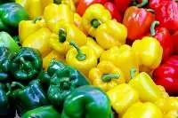 Capsicum