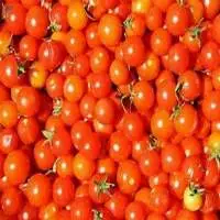 Cherry Tomato