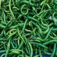 Fresh Green Chilli