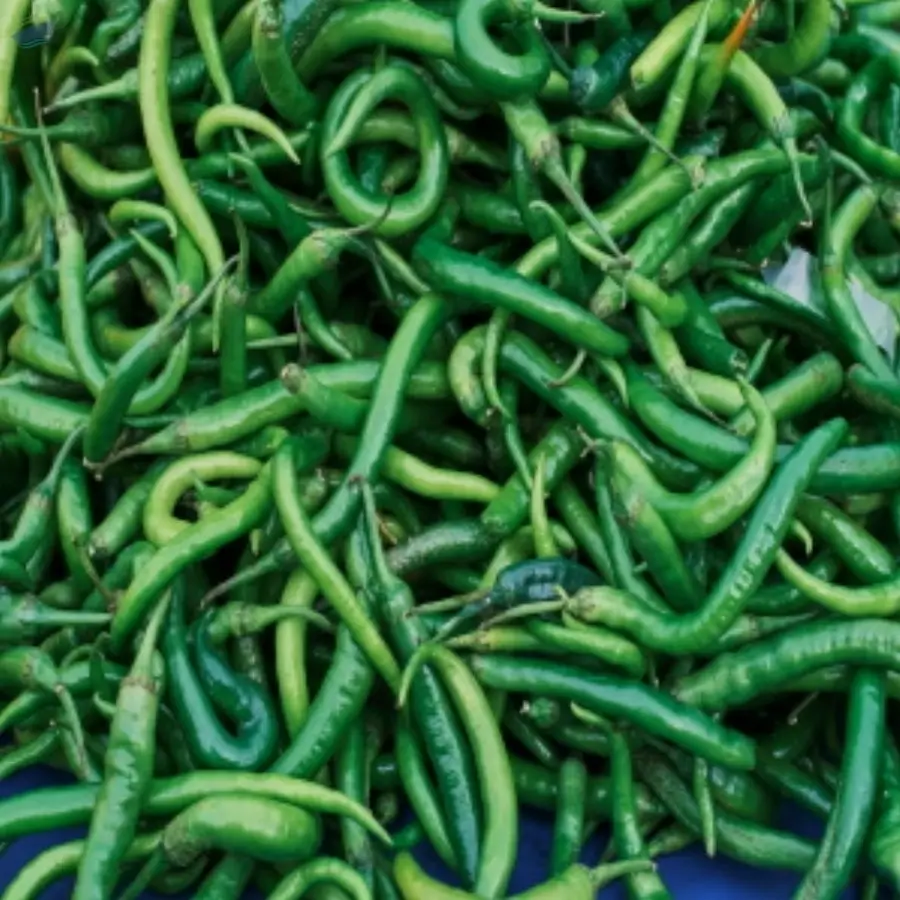 Fresh Green Chilli
