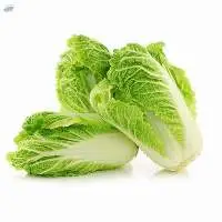 Chinese Cabbage