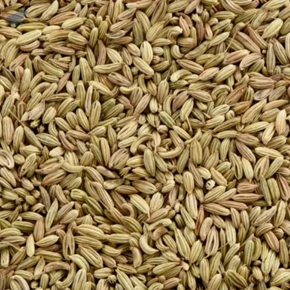 Fennel Seeds