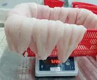 Frozen Pangasius