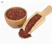 Red Quinoa
