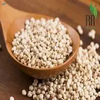 Sohargum Millet (Jowar)