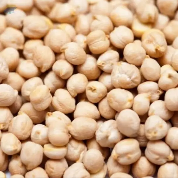 Kabuli Chana / Chick Peas / Double Dollar Chana
