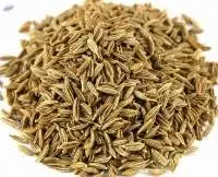 Cumin Seeds