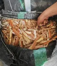Alaskan Crab Shell