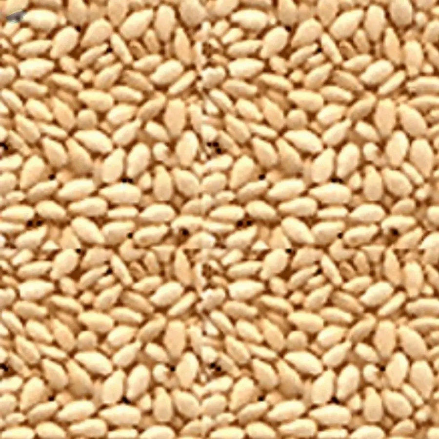 Golden Sesame Seeds
