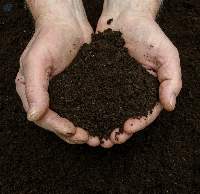 Poshinda Plant-based Organic Manure