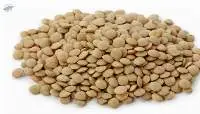 Large Green Lentils